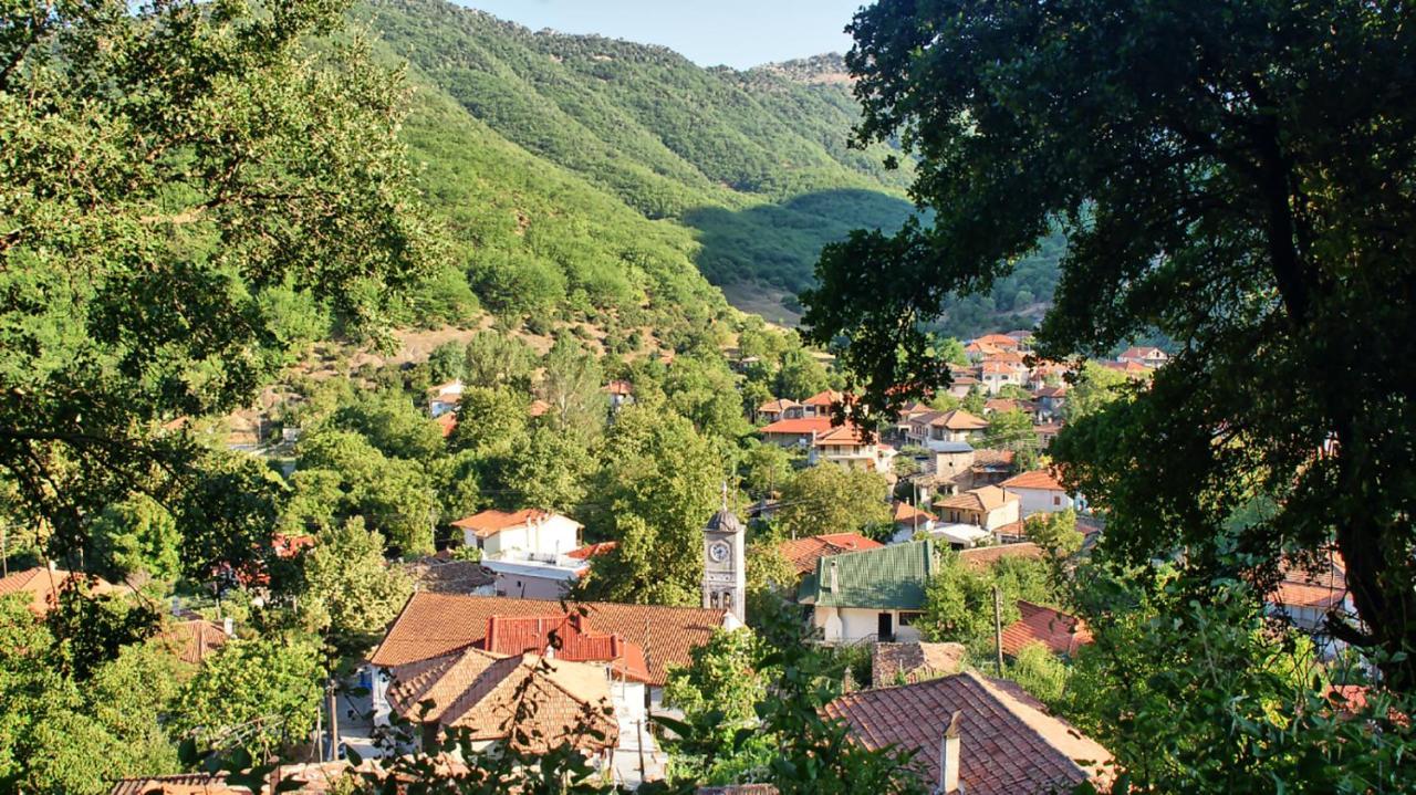 Chalet Coquelicot Kalávrita Kültér fotó