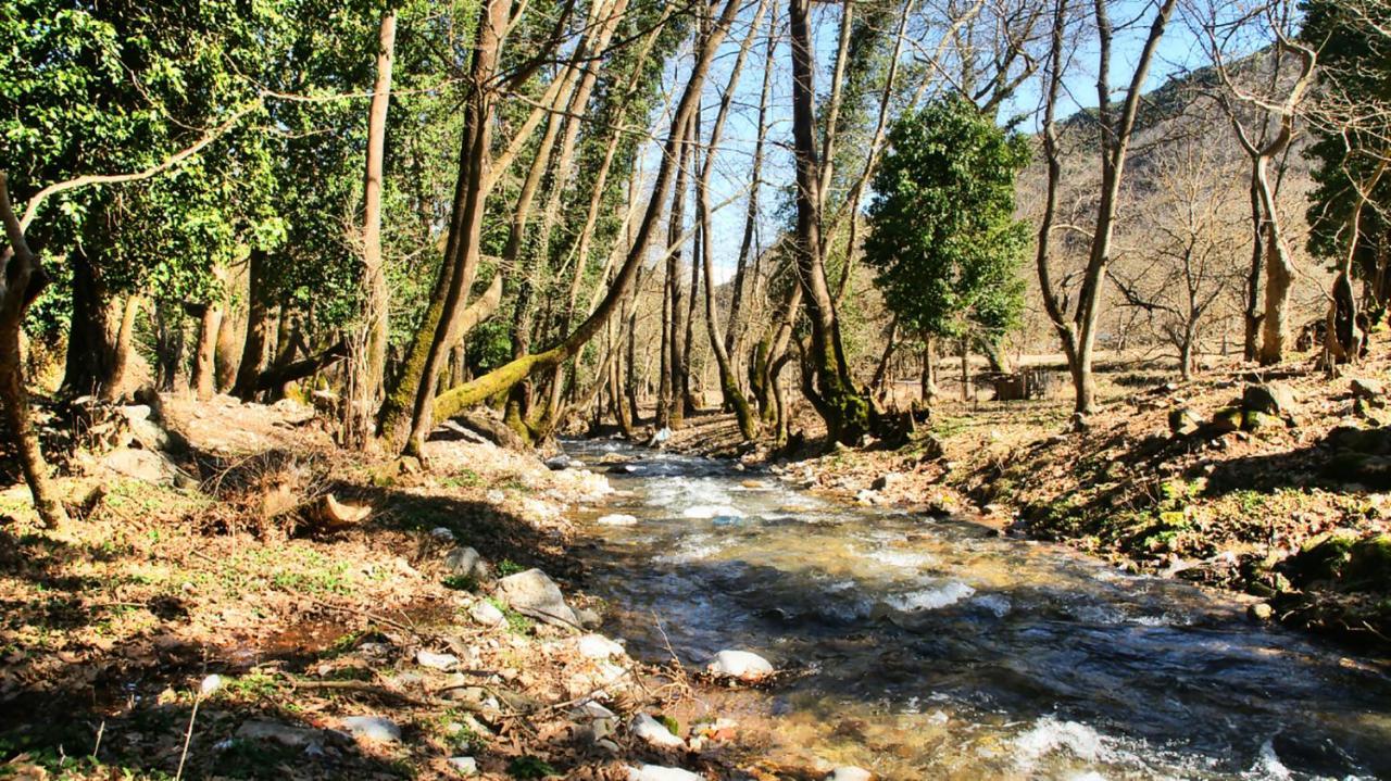 Chalet Coquelicot Kalávrita Kültér fotó