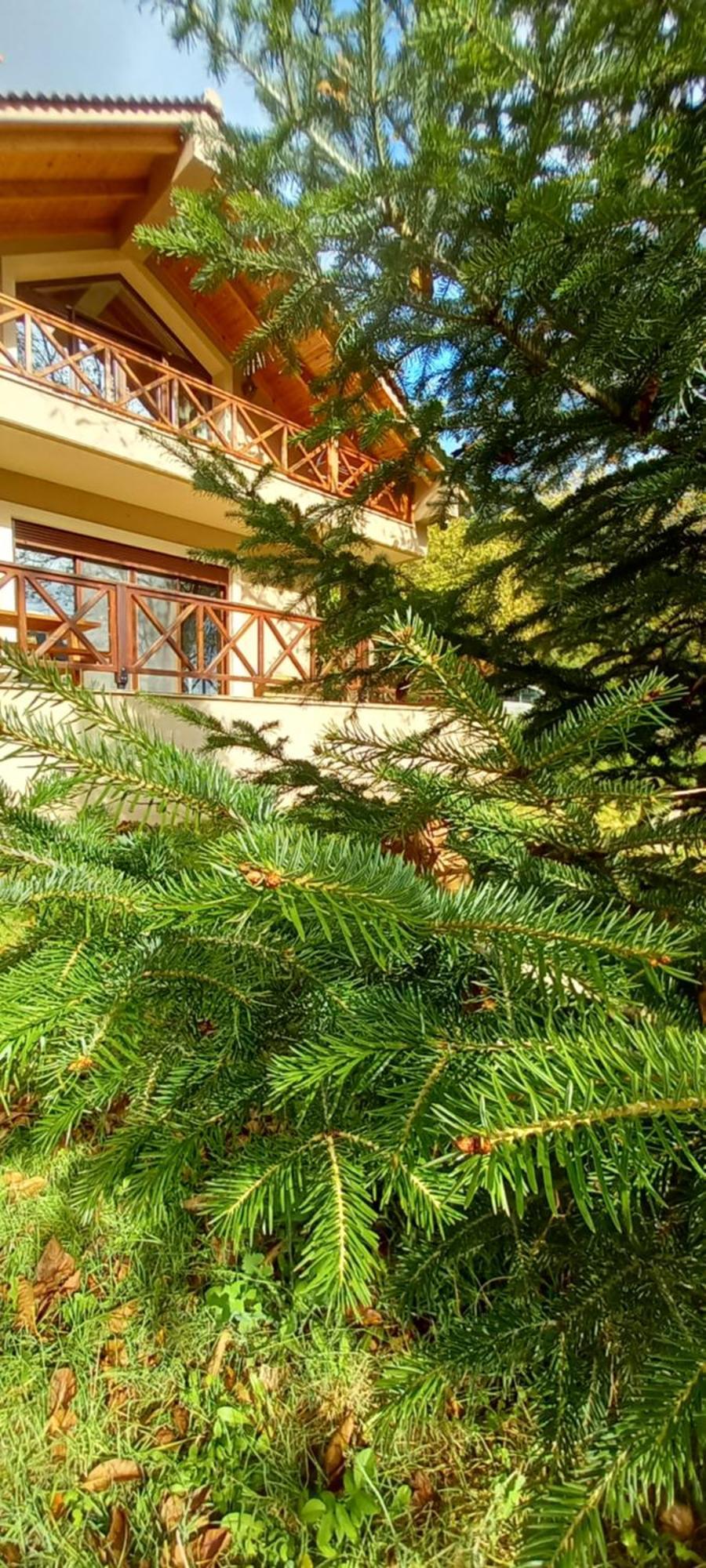 Chalet Coquelicot Kalávrita Kültér fotó